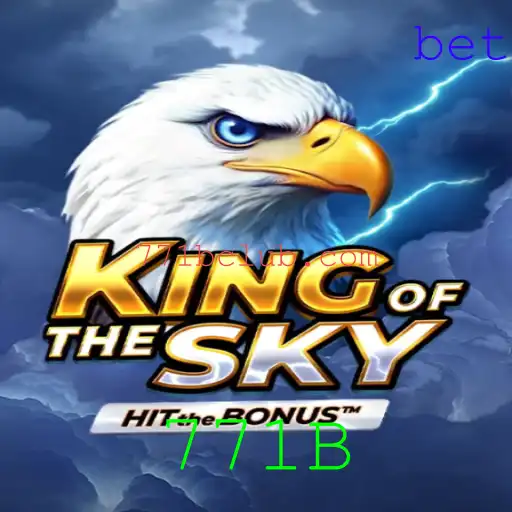 KingOfTheSky: A Experiência Aérea Definitiva
